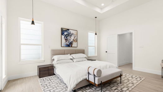 Houston 2-story, 3-bed 109 Tolima Dove Street-idx