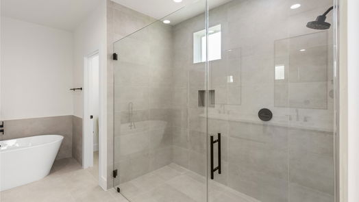 Houston 2-story, 3-bed 109 Tolima Dove Street-idx