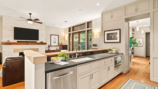 Houston 2-story, 4-bed 807 Lamonte Lane-idx