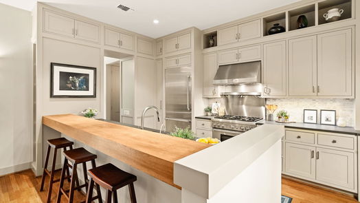 Houston 2-story, 4-bed 807 Lamonte Lane-idx