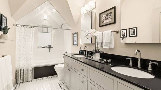 Houston 2-story, 4-bed 807 Lamonte Lane-idx