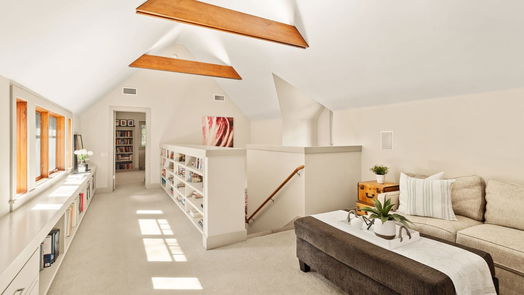 Houston 2-story, 4-bed 807 Lamonte Lane-idx
