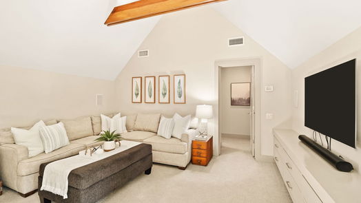 Houston 2-story, 4-bed 807 Lamonte Lane-idx