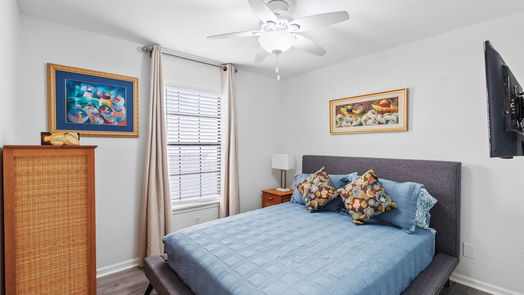 Houston 1-story, 4-bed 1505 Chippendale Road-idx