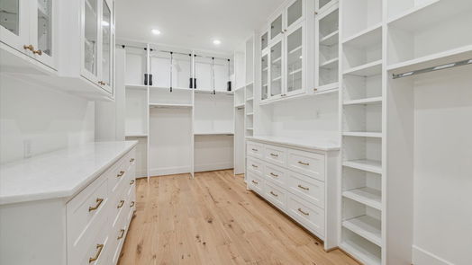 Houston 2-story, 4-bed 1334 Chantilly Lane-idx