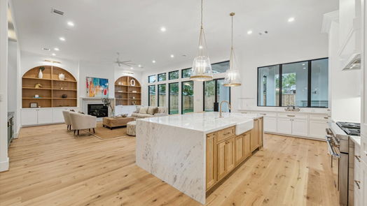 Houston 2-story, 4-bed 1334 Chantilly Lane-idx