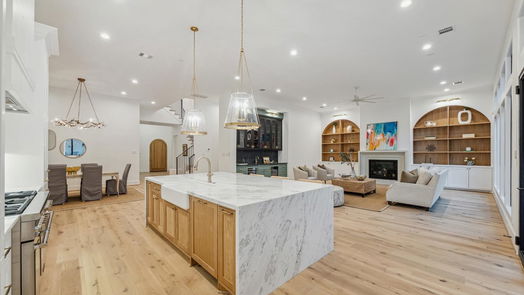 Houston 2-story, 4-bed 1334 Chantilly Lane-idx