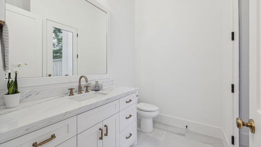 Houston 2-story, 4-bed 1334 Chantilly Lane-idx
