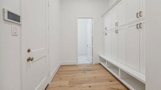 Houston 2-story, 4-bed 1334 Chantilly Lane-idx