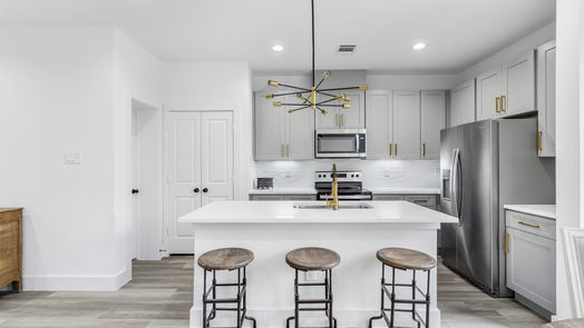 Houston 2-story, 3-bed 409 Alvia Run Lane B2-idx