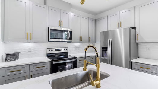 Houston 2-story, 3-bed 409 Alvia Run Lane B2-idx