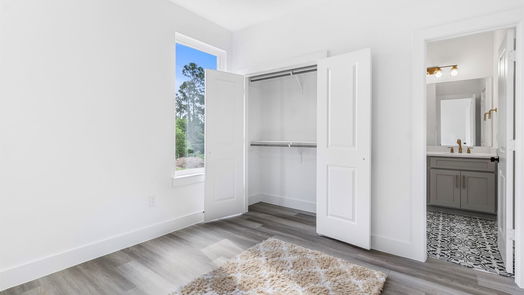 Houston 2-story, 3-bed 409 Alvia Run Lane B2-idx