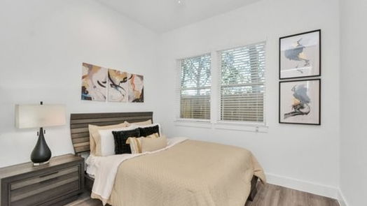Houston 2-story, 3-bed 405 Alvia Run Lane A2-idx