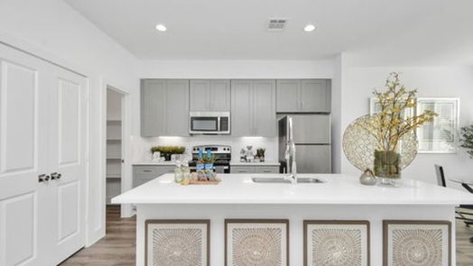 Houston 2-story, 3-bed 405 Alvia Run Lane A2-idx