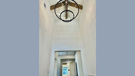 Houston 2-story, 4-bed 1611 Richelieu Lane-idx