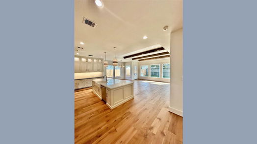 Houston 2-story, 4-bed 1611 Richelieu Lane-idx