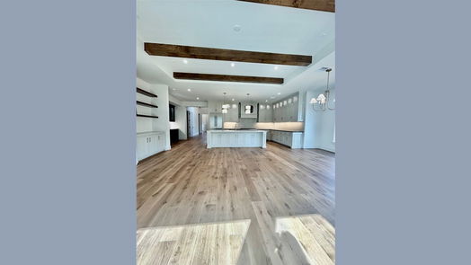 Houston 2-story, 4-bed 1611 Richelieu Lane-idx