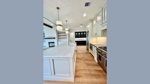 Houston 2-story, 4-bed 1611 Richelieu Lane-idx