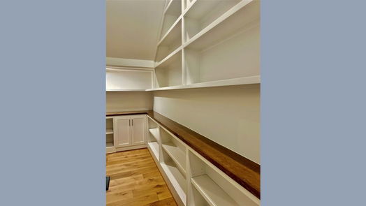 Houston 2-story, 4-bed 1611 Richelieu Lane-idx