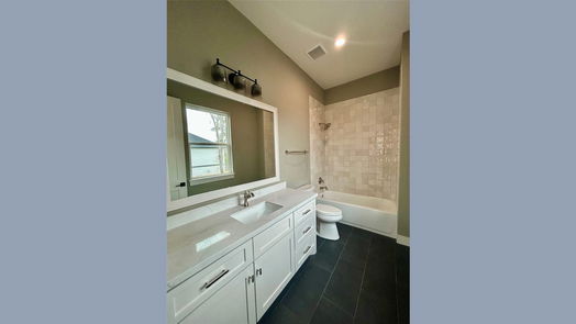Houston 2-story, 4-bed 1611 Richelieu Lane-idx