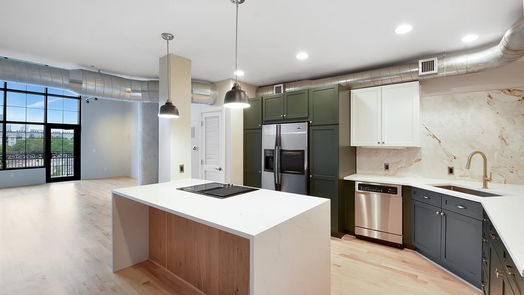 Houston null-story, 2-bed 1005 S Shepherd Drive 605-idx