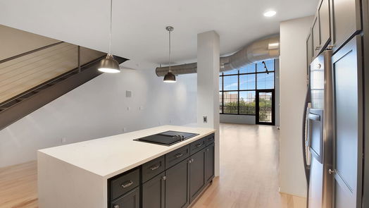 Houston null-story, 2-bed 1005 S Shepherd Drive 605-idx