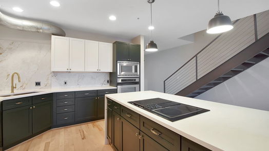 Houston null-story, 2-bed 1005 S Shepherd Drive 605-idx