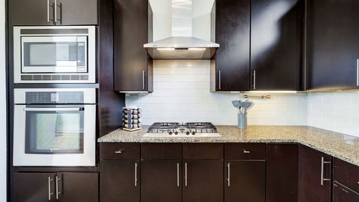 Houston 4-story, 2-bed 1302 W Dallas Street-idx