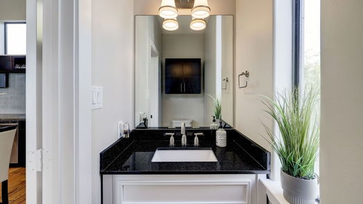 Houston 4-story, 2-bed 1302 W Dallas Street-idx