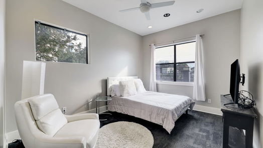 Houston 4-story, 2-bed 1302 W Dallas Street-idx