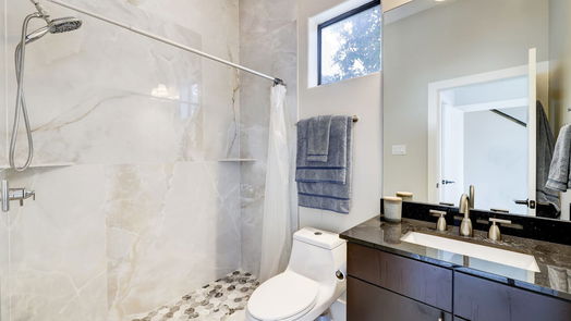 Houston 4-story, 2-bed 1302 W Dallas Street-idx