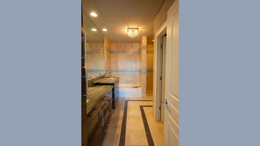 Houston null-story, 2-bed 3333 Allen Parkway 802-idx