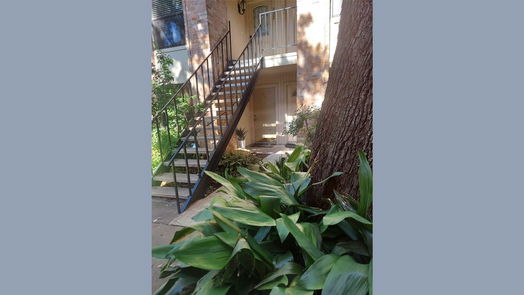 Houston 1-story, 1-bed 1601 S Shepherd Drive 132-idx