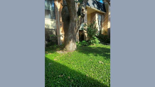 Houston 1-story, 1-bed 1601 S Shepherd Drive 132-idx