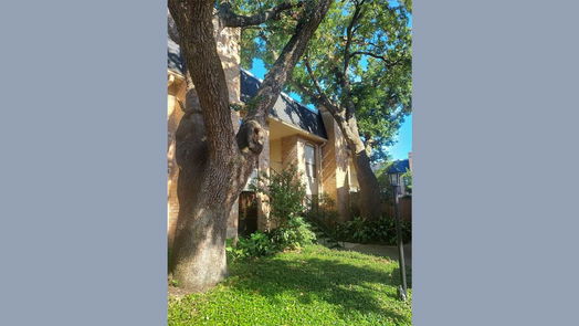 Houston 1-story, 1-bed 1601 S Shepherd Drive 132-idx