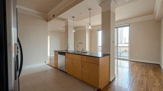 Houston null-story, 1-bed 3333 Allen Parkway 506-idx