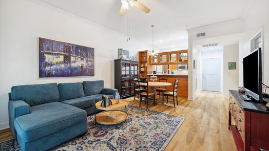 Houston 1-story, 1-bed 1010 Rosine Street 103-idx