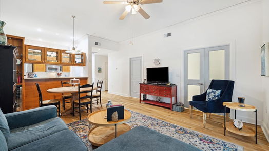 Houston 1-story, 1-bed 1010 Rosine Street 103-idx