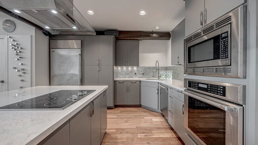 Houston null-story, 2-bed 1025 S Shepherd Drive 102-idx