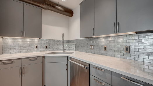 Houston null-story, 2-bed 1025 S Shepherd Drive 102-idx