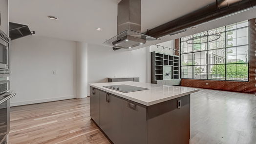 Houston null-story, 2-bed 1025 S Shepherd Drive 102-idx