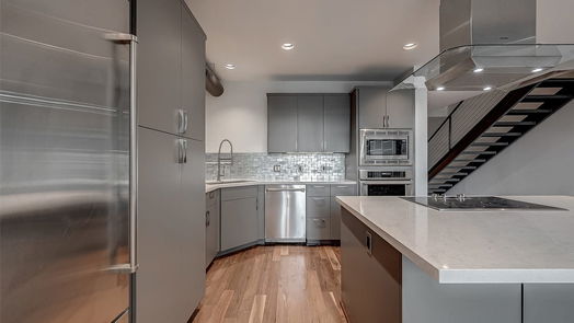 Houston null-story, 2-bed 1025 S Shepherd Drive 102-idx