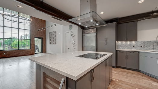 Houston null-story, 2-bed 1025 S Shepherd Drive 102-idx