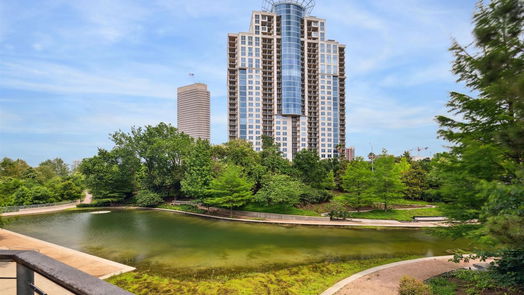 Houston null-story, 2-bed 3333 Allen Parkway 601-idx