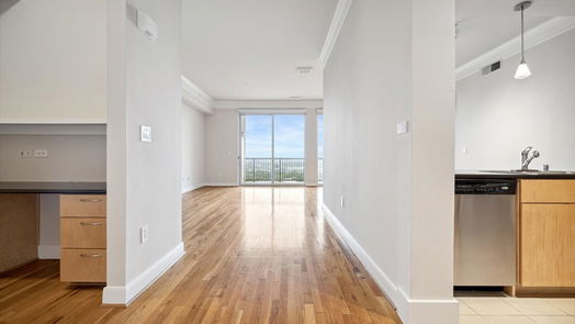 Houston null-story, 1-bed 3333 Allen Parkway 2607-idx