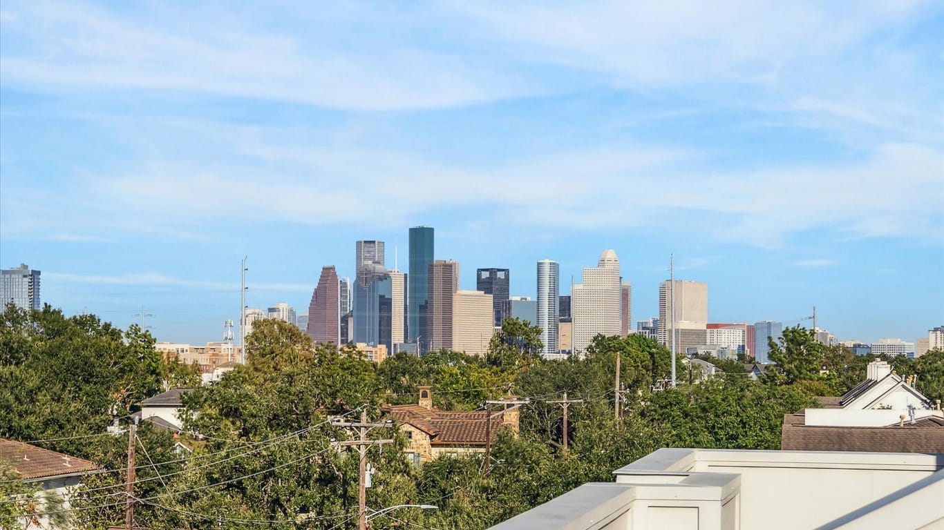 Houston 4-story, 3-bed 1953 Haddon Street-idx