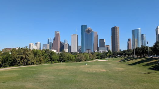 Houston 3-story, 3-bed 1015 Crocker Street-idx