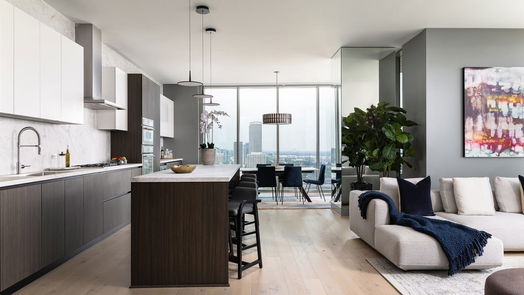 Houston null-story, 3-bed 1711 Allen Parkway 2301-idx