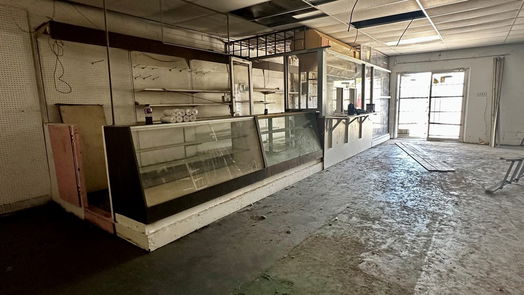 Houston null-story, null-bed 1225 Bringhurst Street-idx