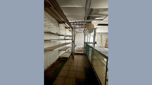 Houston null-story, null-bed 1225 Bringhurst Street-idx